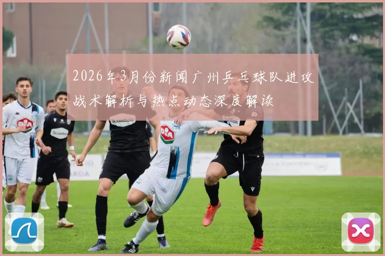 2026年3月份新闻广州乒乓球队进攻战术解析与热点动态深度解读