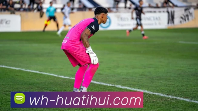 华体会平台生态图